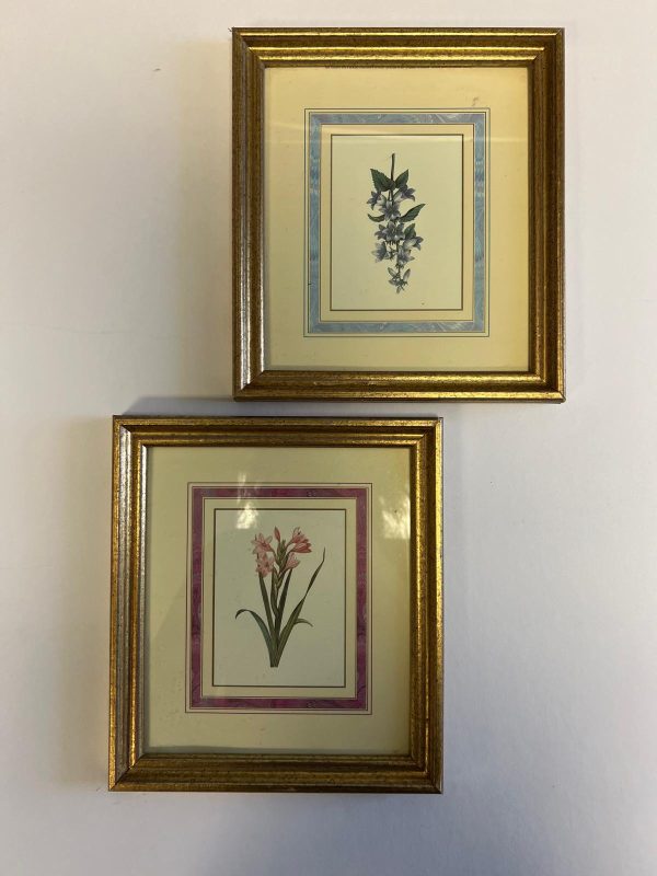 Pair of framed botanical prints